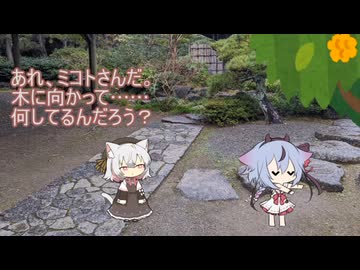 ある日の小夜鳴花(ミ)