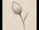 Albtraum