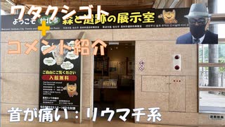 首が痛い、リウマチ系・コロナワクチン接種後から悪くなった←私事【アラ還・読書中毒】コメ：60代のママ友達、数値が少しでも悪いと薬を出されて飲んでます。このテルアビブのミサイルの降り注ぐ写真は違和感あり