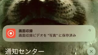 ウエルシア　ガチャモール　抽選　ポイント　チケット　当選
