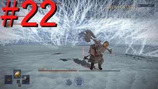 【エルデンリング ナイトレイン】罪人は夜を渡る #22【実況】