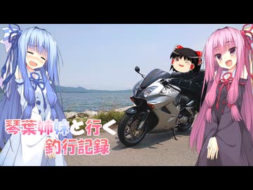 琴葉姉妹と行く釣行記録（車載編part36 15）