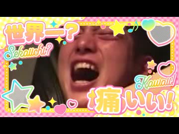 世界一可愛いフィスト