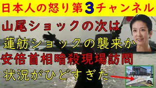 【蓮舫ショック襲来か】山尾ショックの次は立憲民主の蓮舫ショックか【安倍首相暗殺現場】現場に行ったが状況がひどすぎる