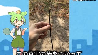君たちはどう旅するのか？