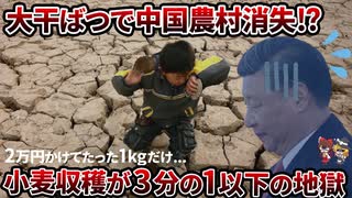 【悲報】中国が“小麦を育てられない国”に！？干ばつ地獄と農民の絶望【ゆっくり解説】