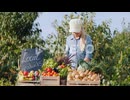 田中鉄也　オンド.com　The Farmer Girl Sells Vegetables At An Agricultural Fair Puts Vegetables On The Counter