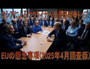 【動画News】ロシアによるウクライナへの侵略戦争トップ…EUの懸念事項(2025年4月調査版)(2025/06/25)
