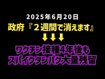 ◆政府『2週間で消えます』➡︎ボーデン博士が衝撃告発「ワクチン接種4年後もスパイクタンパク大量残留」日本は説明がデマだらけ！？