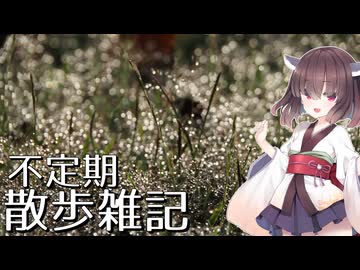不定期散歩雑記_53 - 最近のお散歩写真まとめ その２