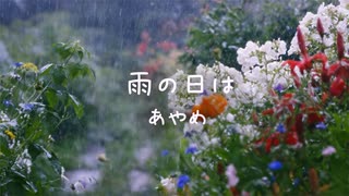 雨の日は　あやめ