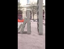 BIG Gravity Domino