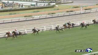 ブラックチャリス　2歳新馬