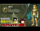 【ゆっくり実況】初めてのティアーズオブザキングダム！ part285【ティアーズオブザキングダム】
