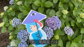 【東方手描き】小傘、紫陽花だよ