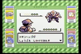 【ポケットモンスター緑】殿堂入りを目指して Part20【サイクリングロード】