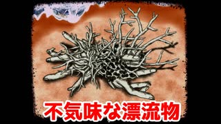 不気味な漂流物【海野家】＃2