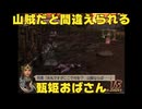 【三国無双４】【リョナ】【甄姫】 月英おばさんに山賊だと間違えられる甄姫おばさん