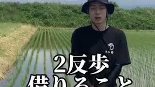 田んぼの値段が安すぎる