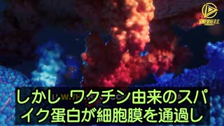 注射後数年経過しても脳内でこの特殊のスパイク蛋白が生成され続けています