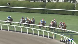 クラディスティーナ　2歳新馬