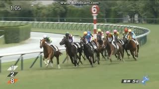 フェスティバルヒル　2歳新馬