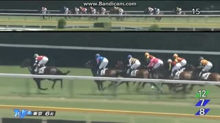 ランドスター　2歳新馬