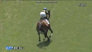 サノノグレーター　2歳新馬