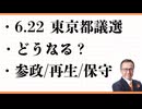 6.22　東京都議選　参政党・躍進か！？　日本保守党、再生の道、選挙運動と政治運動 争点、都知事へのチェック機能　子育て、コロナ総括、WHO、東京火葬場、災害リスク、オーバーツーリズム、コメ問題、