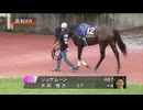 ＪＢＣ協会協賛 第53回高知優駿（ダノンレジェンド賞） パドック～本馬場入場