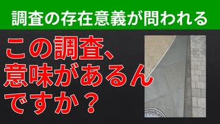 【テーマ：エロゲメーカーの人材要件の検証2025】第287回まてりあるならじお　