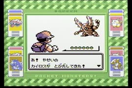 【ポケットモンスター緑】殿堂入りを目指して Part22【サファリゾーン】