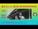 橋のない川[第2部]1970(昭和45)年