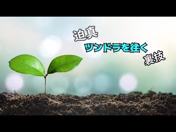 迫真ツンドラを往く裏技#Grand Finale