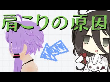 肩こりってなんでなるの？【中国うさぎ】