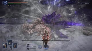 ELDEN RING NIGHTREIGN 常夜の王　強化エデレ　復讐者ソロ　エルデンリングナイトレイン