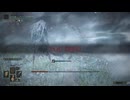 二人で操作を分けてエルデンリング#29