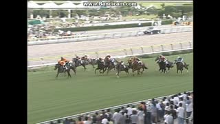 2007 ラジオＮＩＫＫＥＩ賞 (JpnIII)　ロックドゥカンブ