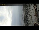 VID202506211903