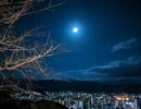 月に導かれて