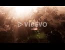 藤野孝紘　Sunlight shining in tropical jungle