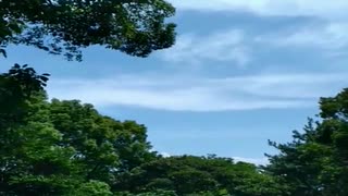 [アブスントゥシーナリー][01]