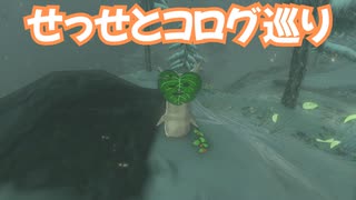 ゼルダの伝説　ティアーズ オブ ザ キングダム　実況プレイおまけその8