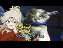 つむぎとつづみ（ペンギン）