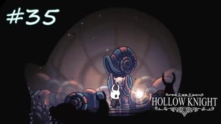 ムダにビビりながらゆく『ホロウナイト』part35