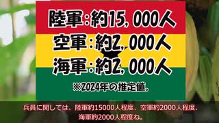 【ゆっくり音声】マイナー軍隊解説! ガーナの軍事力 ～世界2位のカカオ生産国! 政情も安定している平和なマイナー軍隊(+金欠?)～