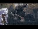 二人で操作を分けてエルデンリング#30