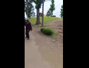 関根清治　配達あるある４