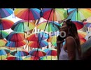 Girl Looking Up Colored Umbrellas And Talking On The Phone Happy