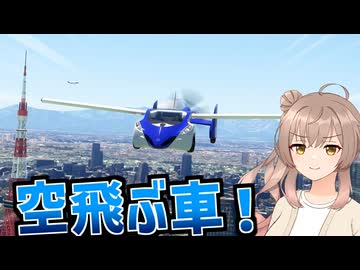 どんな道であろうが滑走路にするのさ！【Microsoft Flight Simulator】
